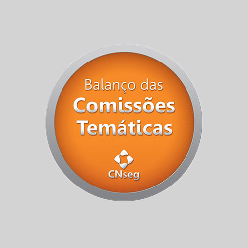 BALANÇO DAS COMISSÕES TEMÁTICAS