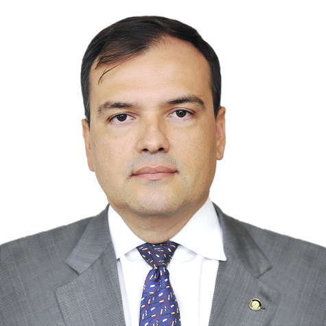 ARTHUR LUIS MENDONÇA ROLLO